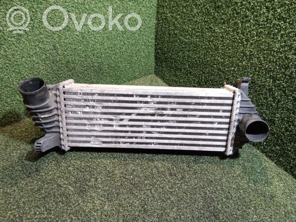 Interkūlerio radiatorius   8200427469,0198254