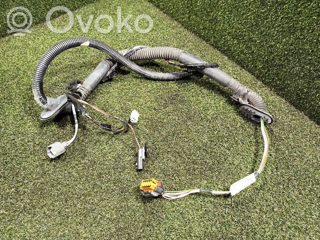 Cableado de puerta trasera   240514114R,8200778255