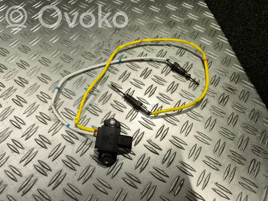 Sensor de temperatura del escape   226588349R