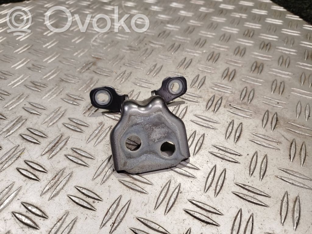 Renault Arkana Rear door lower hinge 