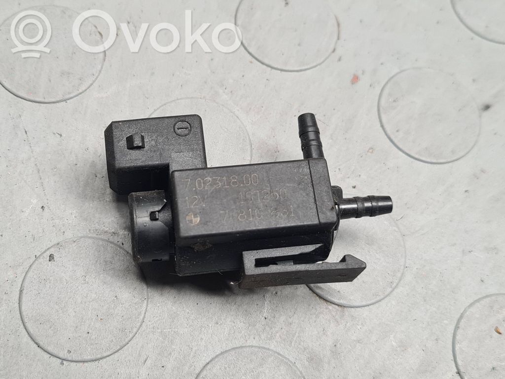 Vacuum valve   7810831,70231800,19T250
