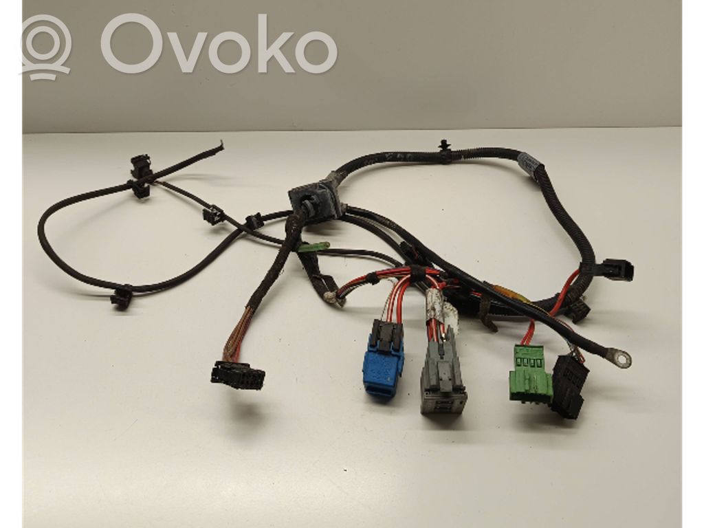 Engine installation wiring loom   758060804