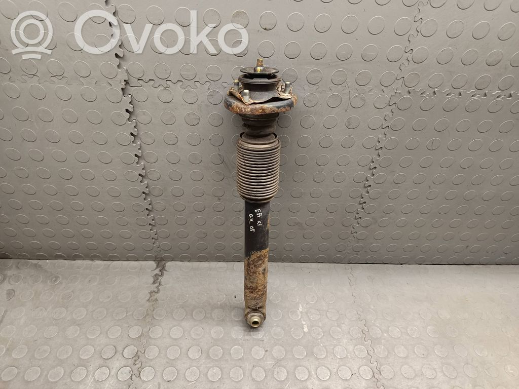 Stoßdämpfer hinten   6750361