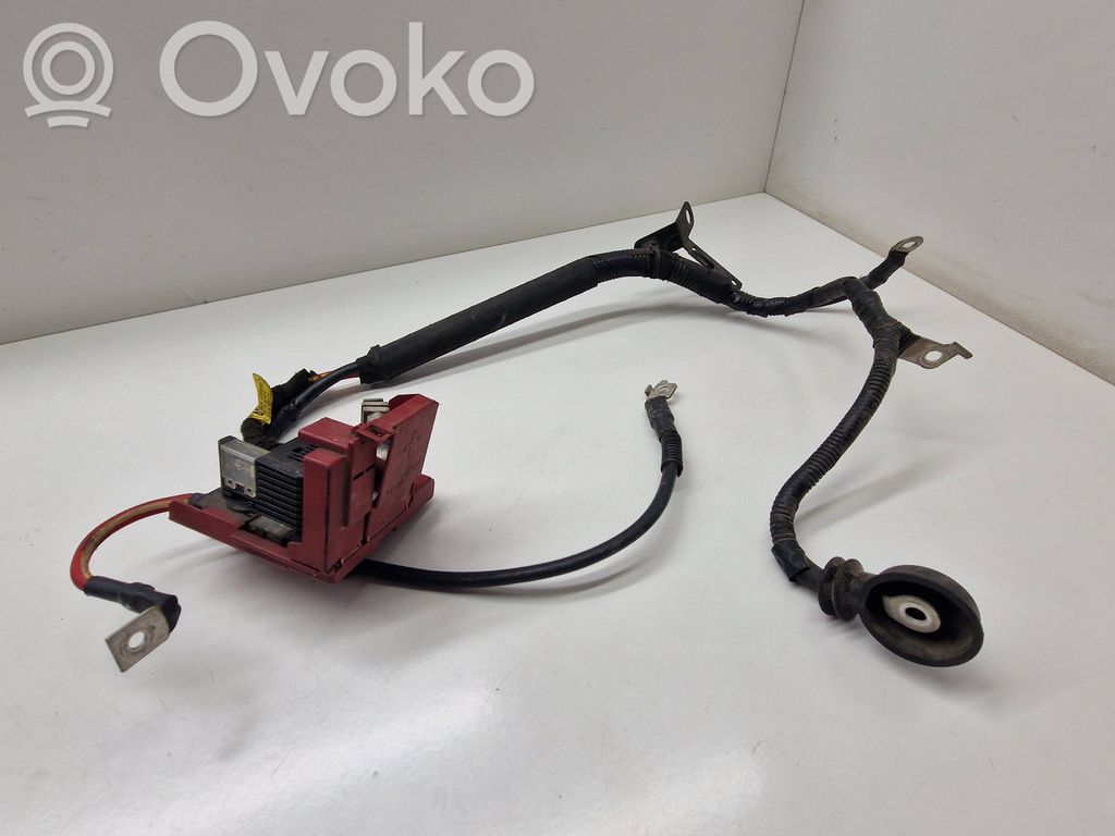 Positive cable (battery)   42454912