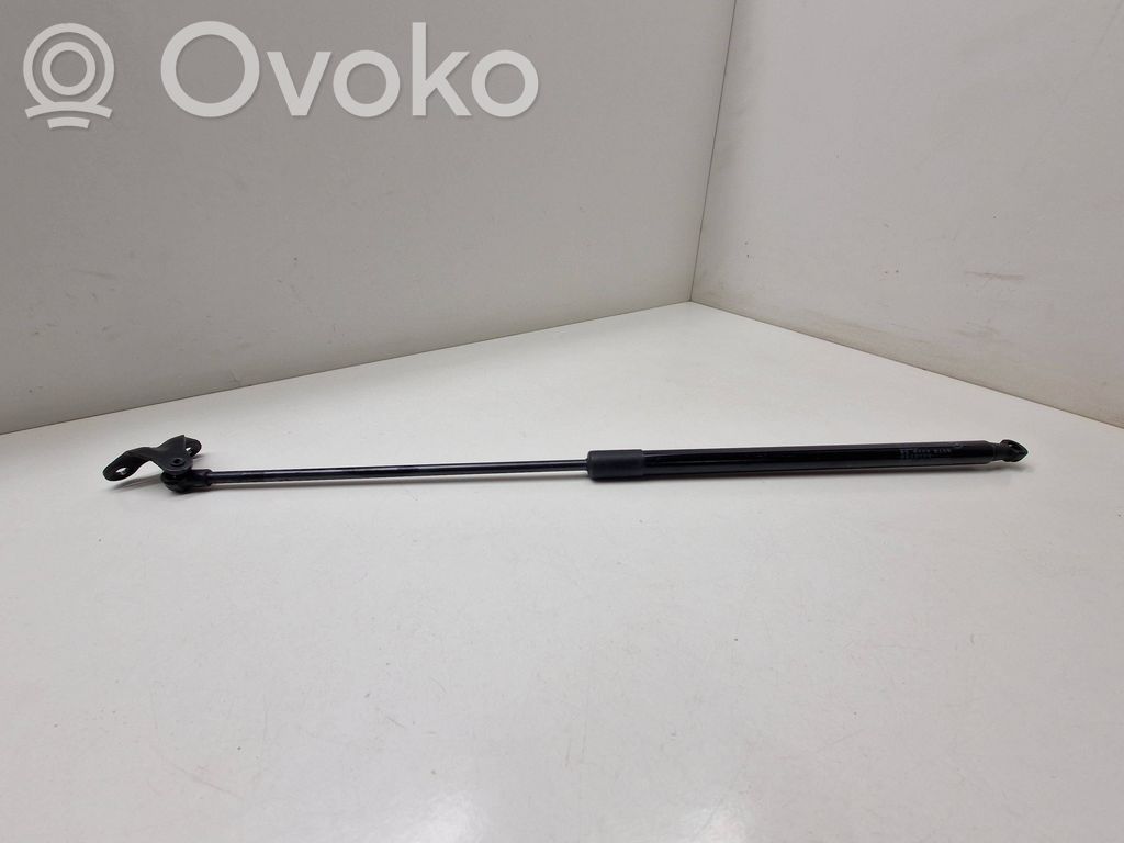 Tailgate/trunk strut/damper   7296775