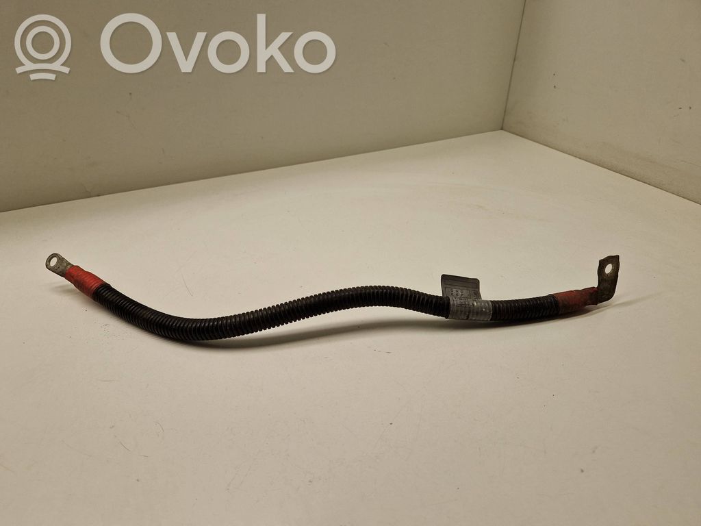 Positive cable (battery)   7796127