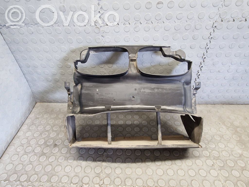 BMW 3 E46 Radiatoriaus oro nukreipėjas (-ai) 