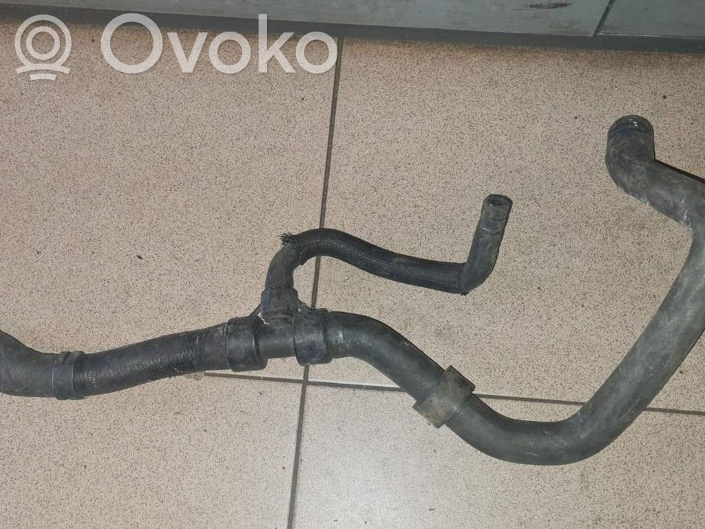 Ford S-MAX Caurulīte (-es) / šļūtene (-es) 