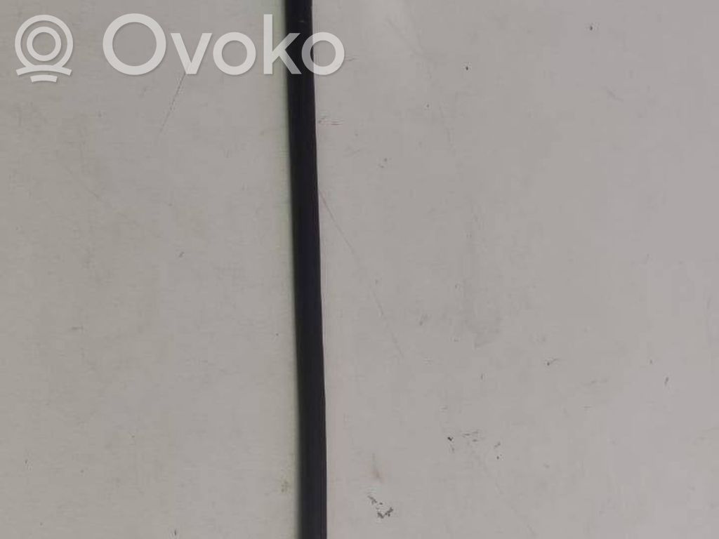 Ford Focus Negative earth cable (battery) 