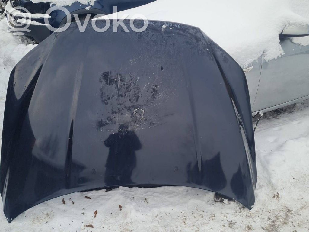 Dzinēja pārsegs (vāks)
