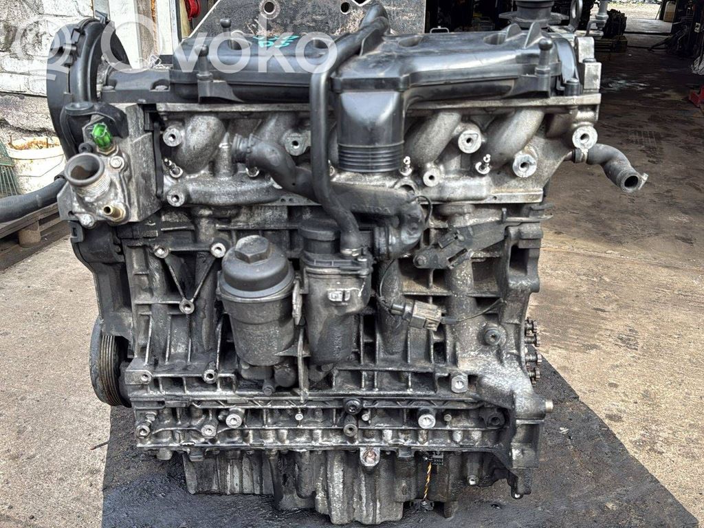 Engine   D5244T8,D5244T13