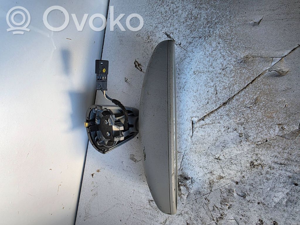 Rear view mirror (interior)   00610