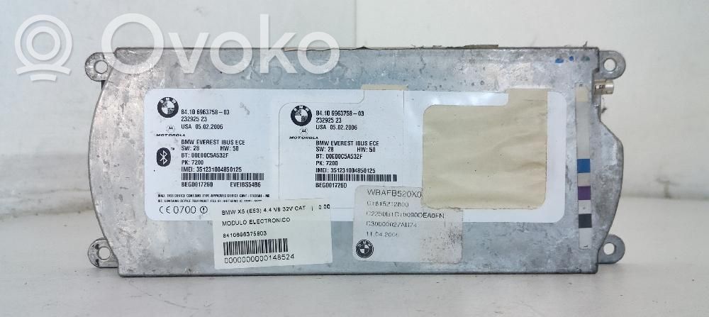 BMW X5 E53 Kiti valdymo blokai/ moduliai 