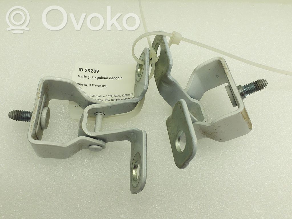 Citroen C4 III e-C4 Tailgate/trunk/boot hinge 