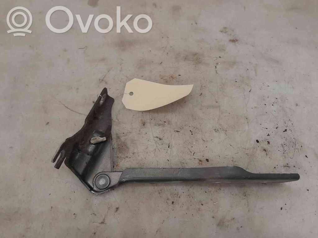Volkswagen Polo V 6R Cerniere del vano motore/cofano 