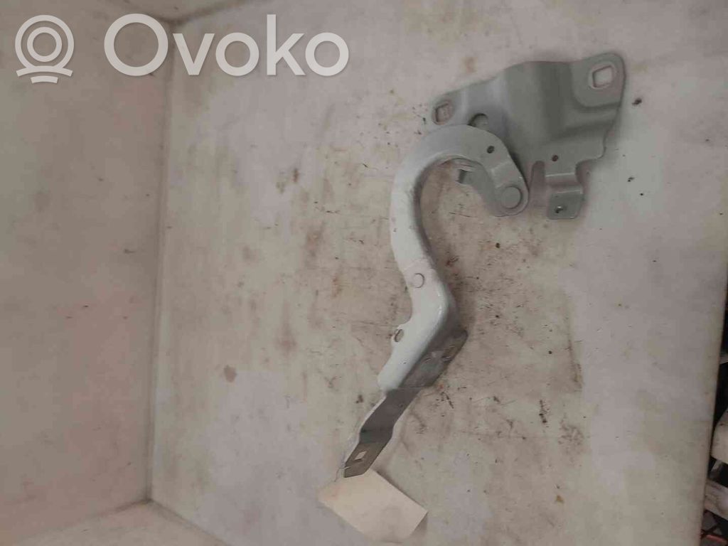 Renault Zoe Balamale capotă 