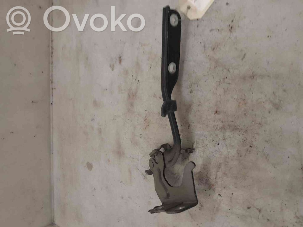 Nissan Juke I F15 Cerniere del vano motore/cofano 