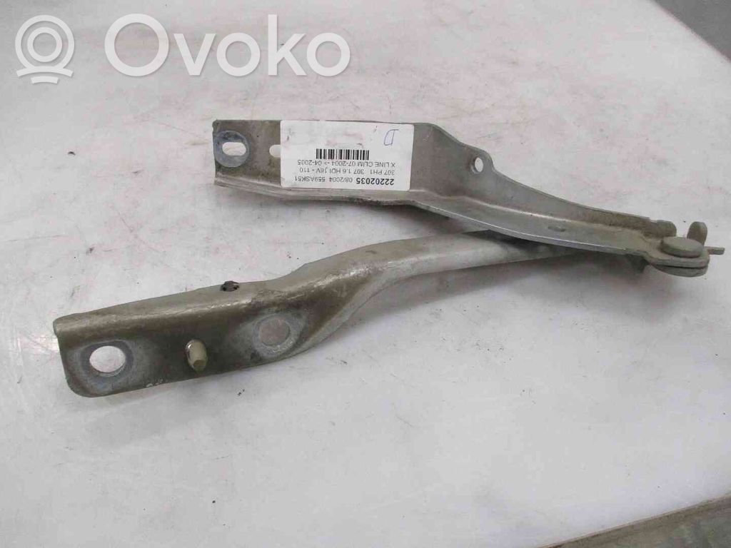 Peugeot 307 Charnière, capot moteur