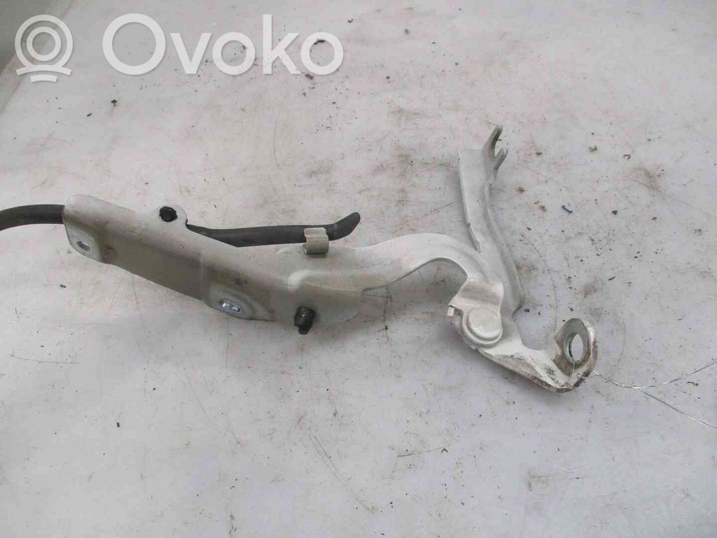 Konepellin saranat   7912F5,22401193,2560185,VDMS4