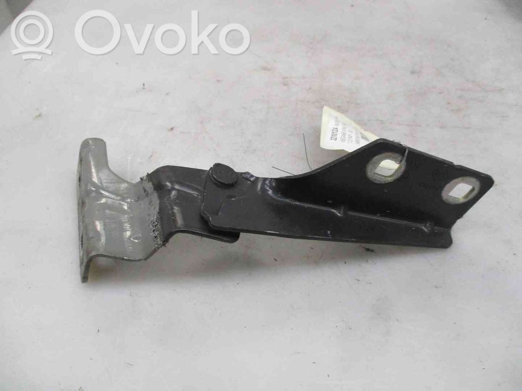 Scharnier Motorhaube   8200468183,22101324,2534756,VDMS4