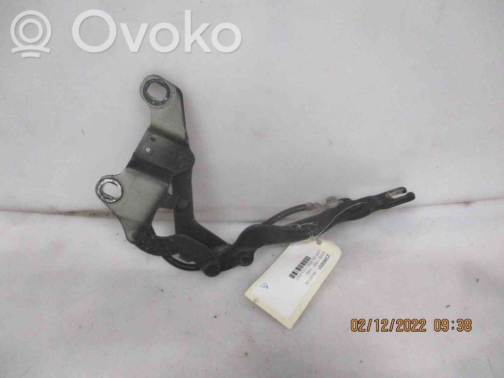 Scharnier Motorhaube   41617325869,22300051,2548345,VDMS4