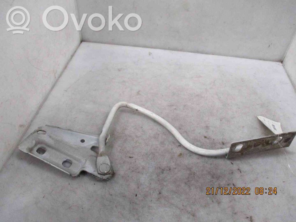 Ford Transit Dzinēja pārsega eņģe (-es) 
