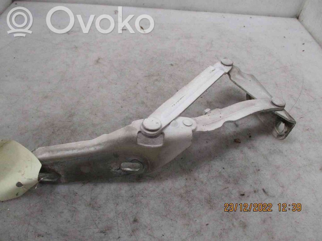 Mercedes-Benz Sprinter W906 Cerniere del vano motore/cofano 