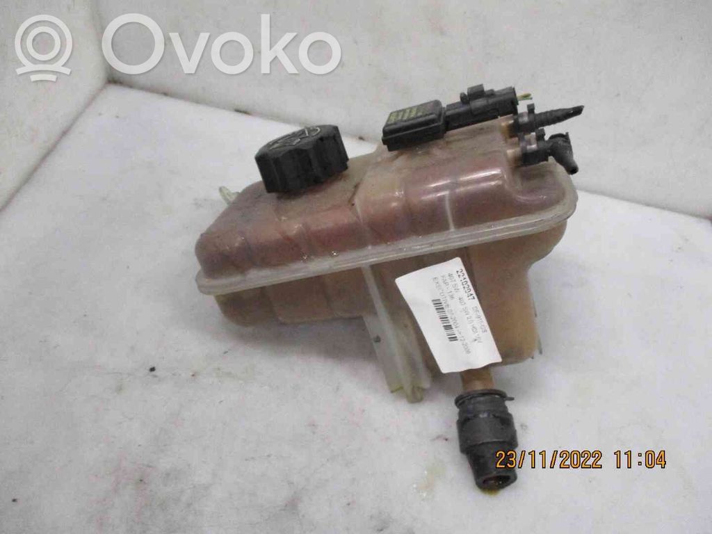 Peugeot 407 Serbatoio di compensazione del liquido refrigerante/vaschetta 