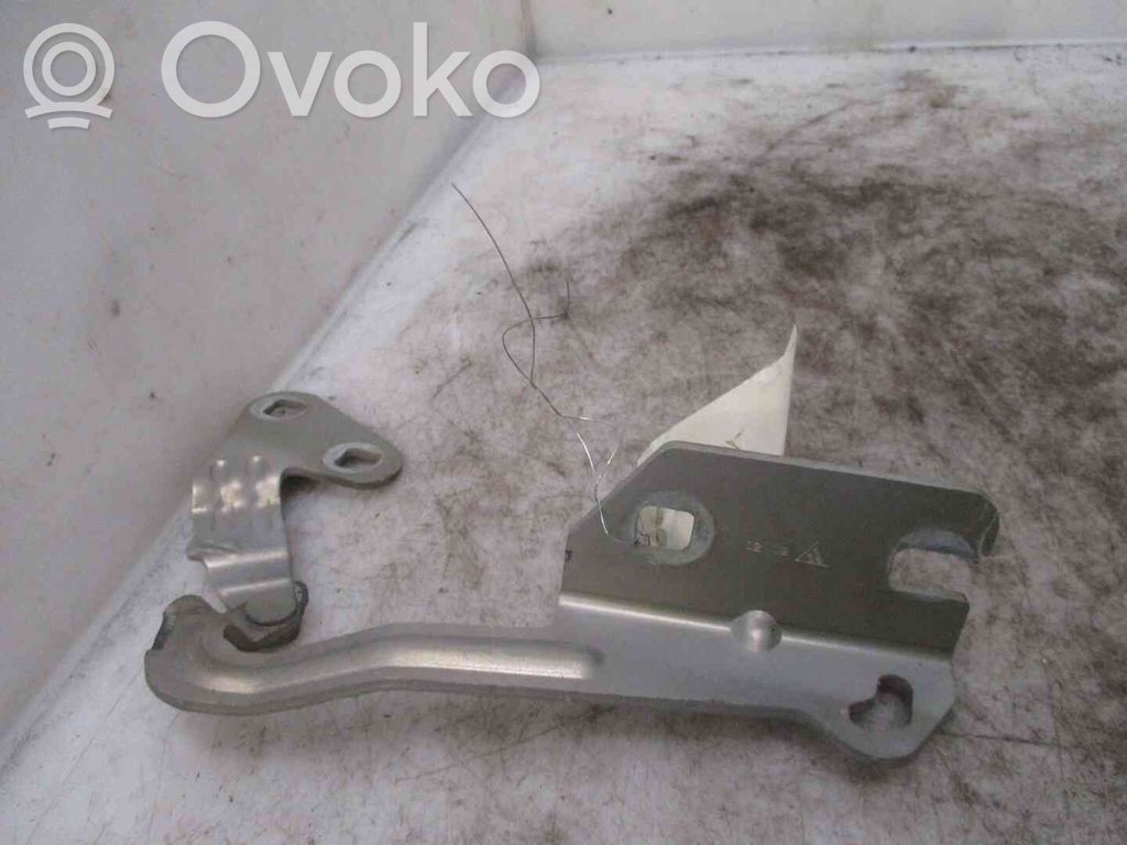 Citroen Xsara Picasso Balamale capotă