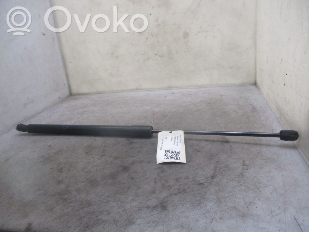 Ford Focus Tailgate/trunk strut/damper 