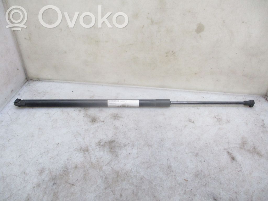 Opel Antara Amortizor hayon 