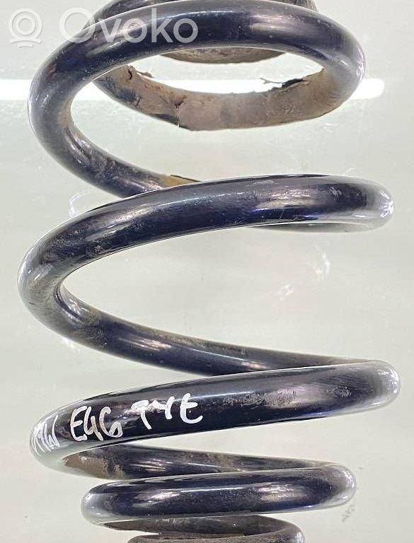Rear coil spring