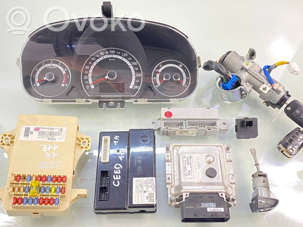 Sterownik / Moduł ECU   391192B340,114902,GEDVA54CFS3,391192B340,EME17911