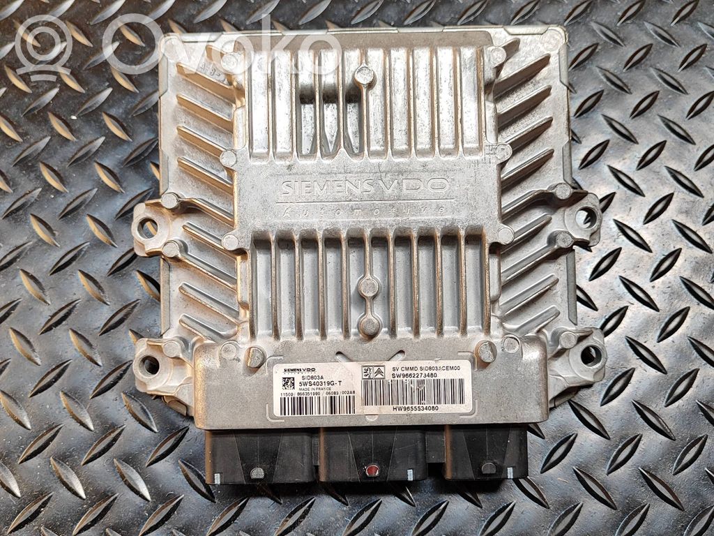 Peugeot 407 Engine control unit/module 