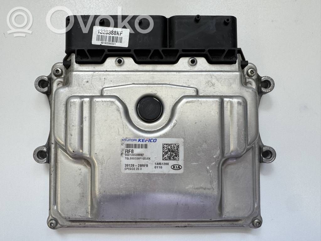 KIA Sportage Engine control unit/module 