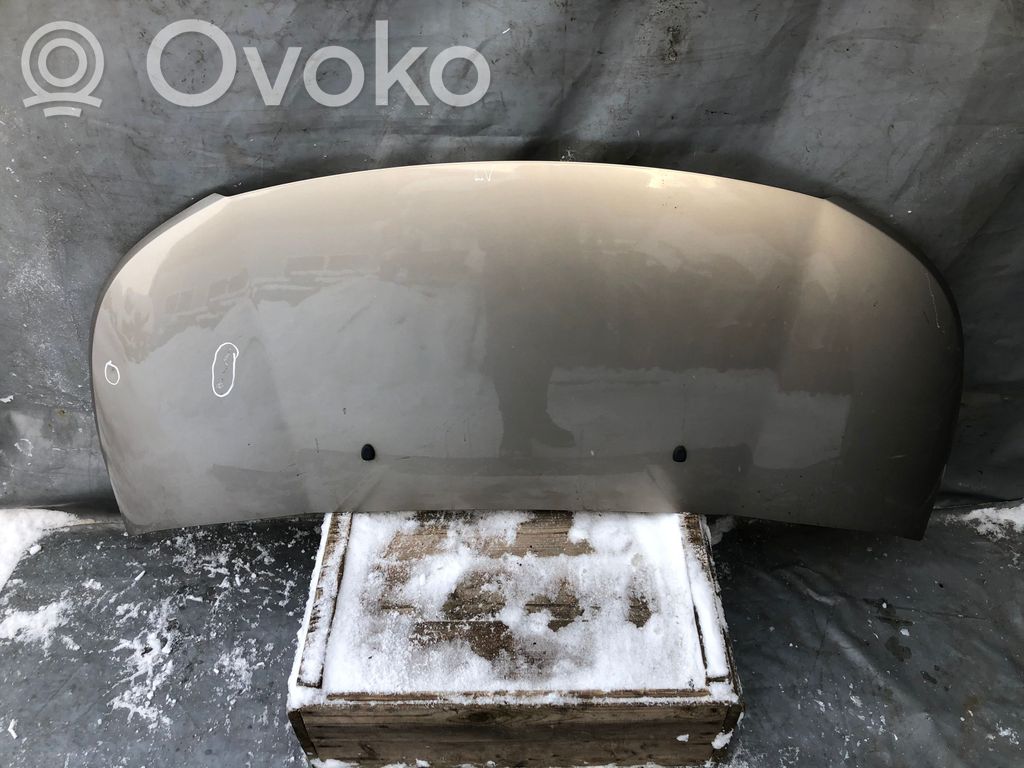 Engine bonnet/hood