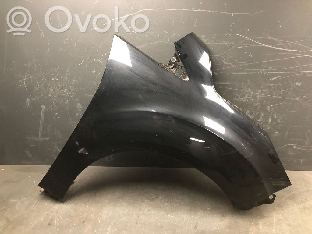Guardabarro   AM511R166015AF