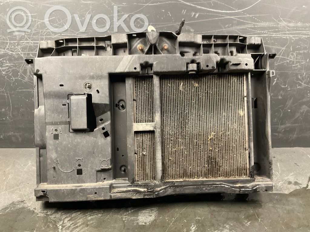 Citroen C3 Radiatoru panelis 