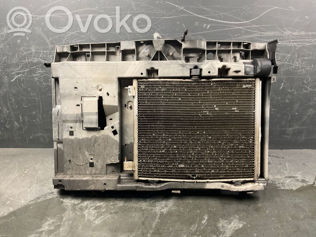 Citroen C3 Radiatoru panelis 