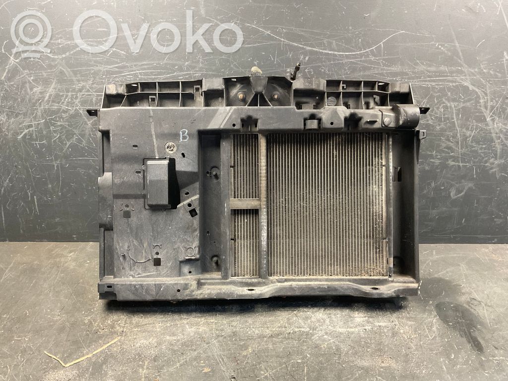 Citroen C3 Radiatoru panelis 