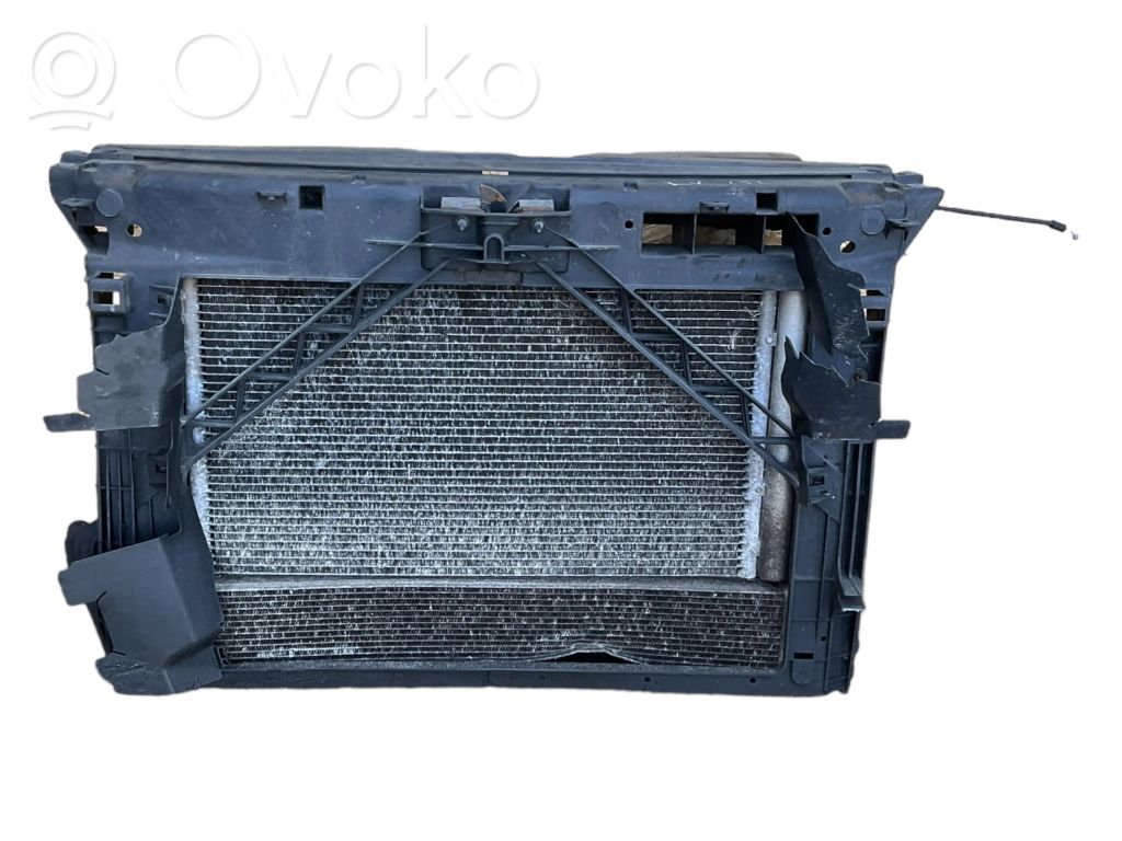 Seat Toledo IV (NH) Aušinimo skysčio radiatorius 