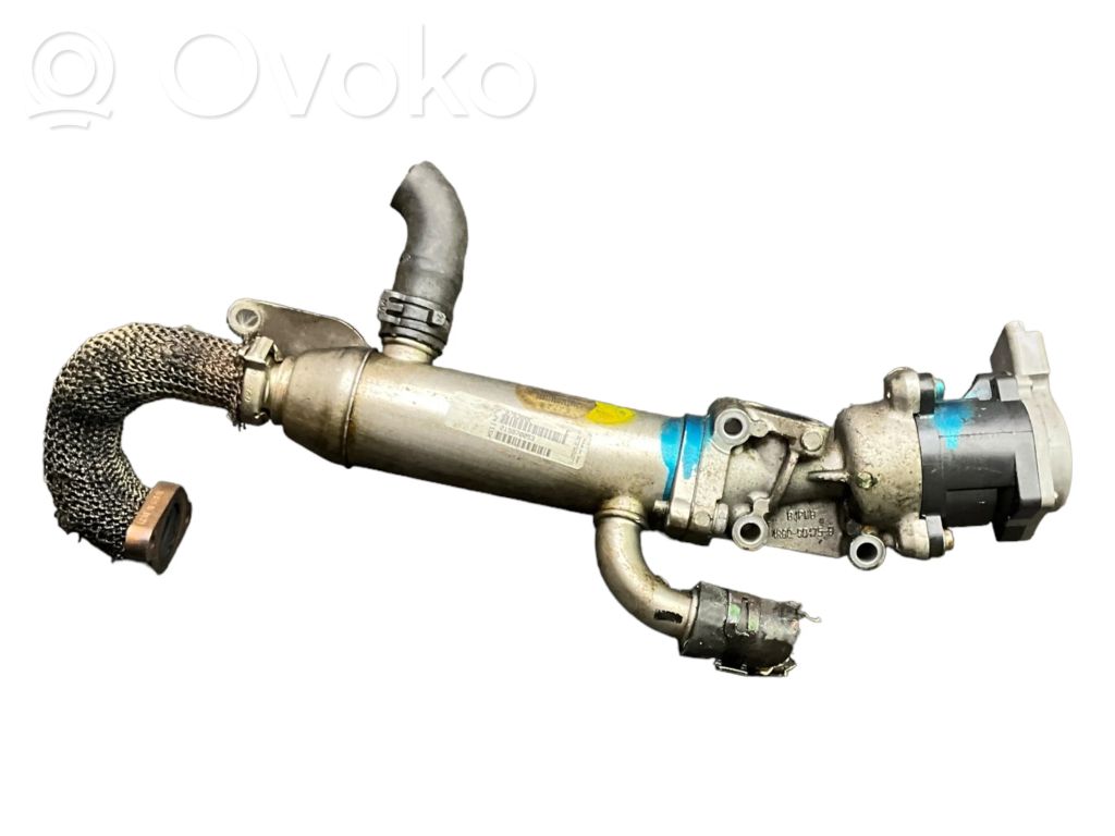 Peugeot 407 Refrigerador de la válvula EGR 