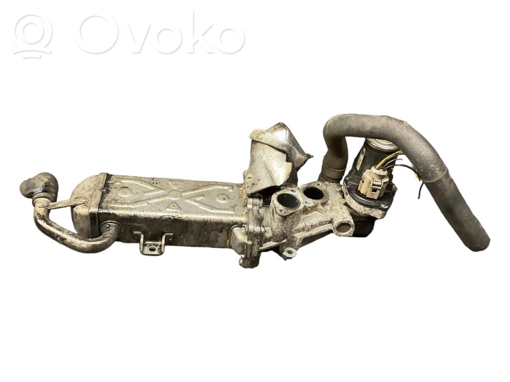 Volkswagen PASSAT B7 Refrigerador de la válvula EGR 