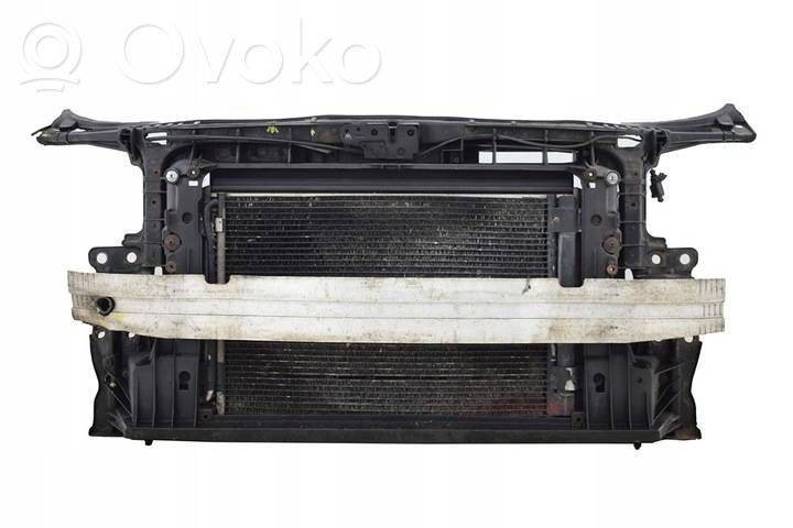Radiatoru panelis