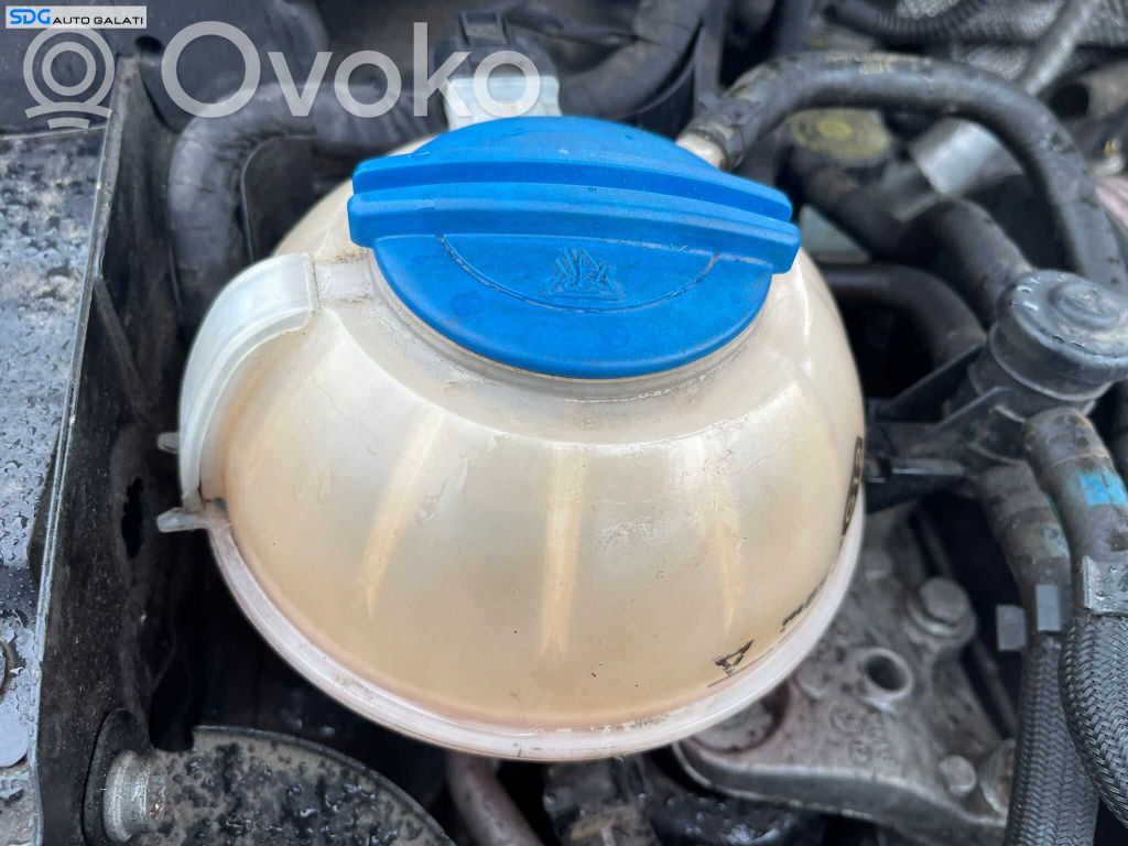 Skoda Roomster (5J) Vas expansiune/rezervor lichid de răcire 
