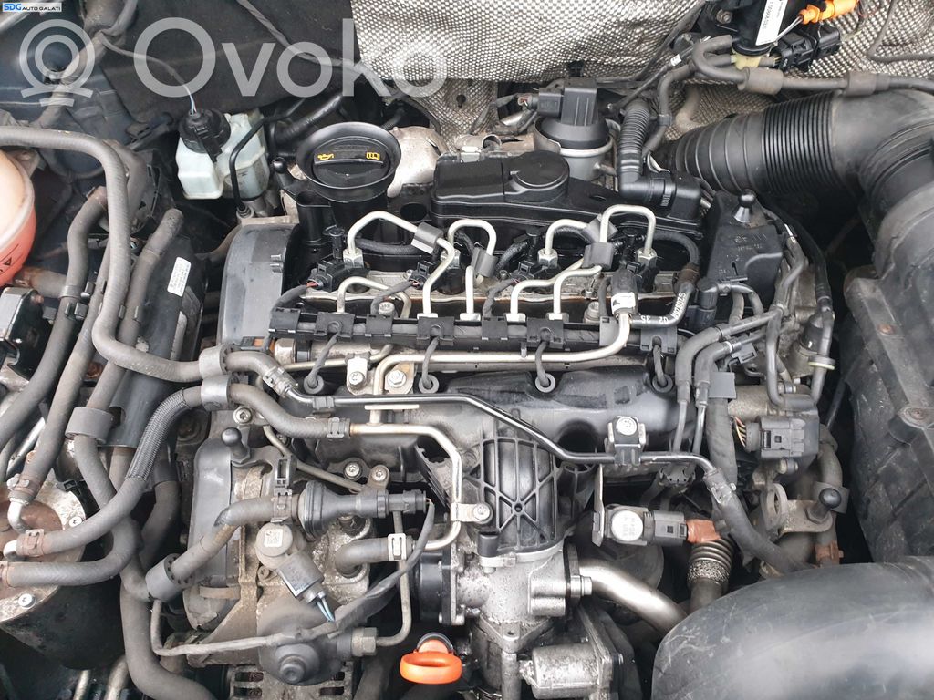 Volkswagen Golf VI Galvutė
