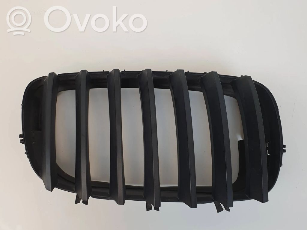 Front grill   7171396,51137171396
