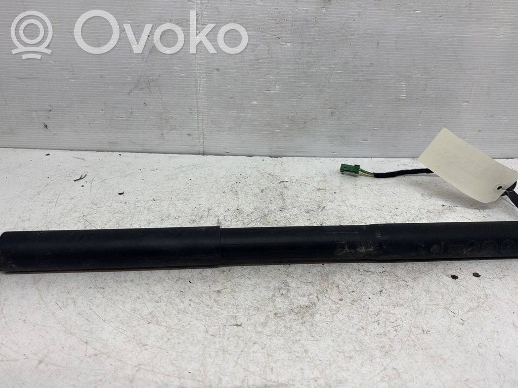 DS Automobiles 4 II Tailgate/trunk strut/damper 