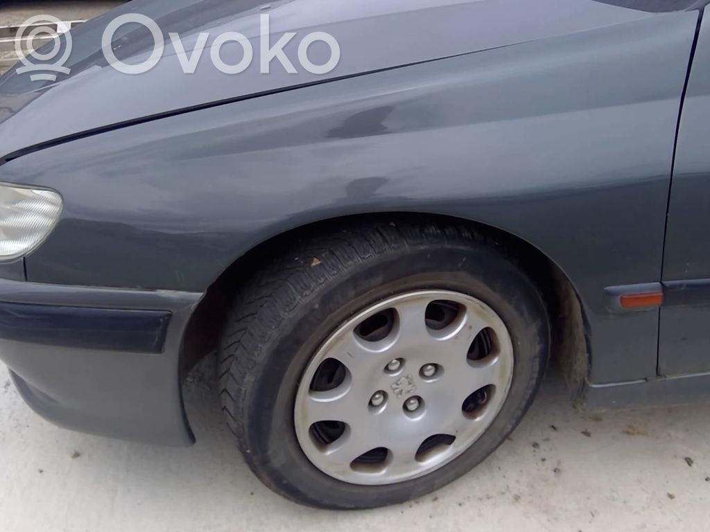 Peugeot 406 Sparnas 