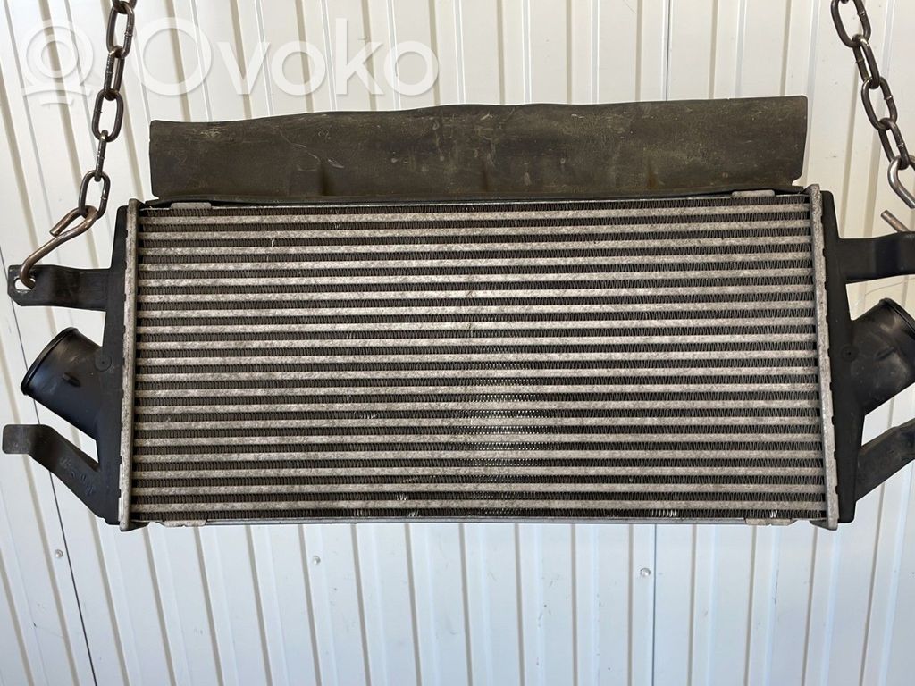 Interkūlerio radiatorius   5058619AB